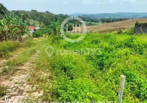 Plot on Jalan Candi Sewu 1