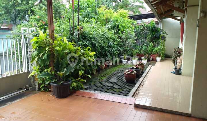 Turun Harga !!! Jual Cepat Rumah Tinggal Di Benhil, Jakarta Pusat, 1 Lantai, Asri Teduh Di Jantung Ibukota... 2