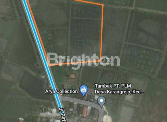 Tanah Tambak Gresik 2,7 Ha 1