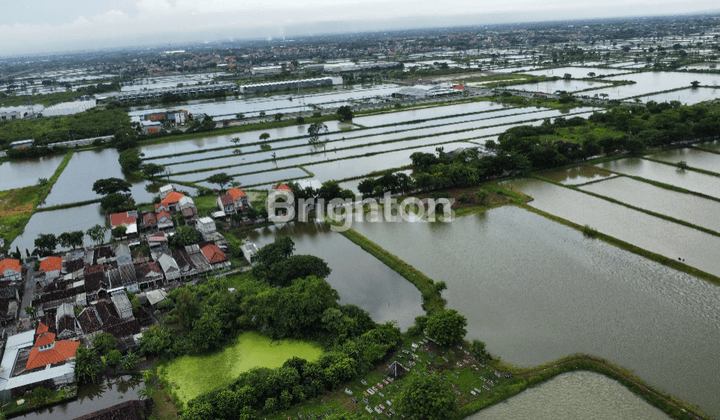 TANAH TAMBAK SIAP PAKAI LOKASI STRATEGIS GRESIK !! 2