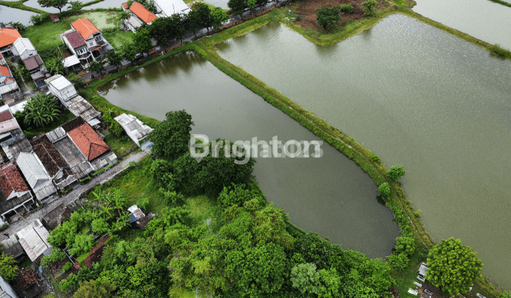 TANAH TAMBAK PRODUKTIF LOKASI GRESIK !! 2