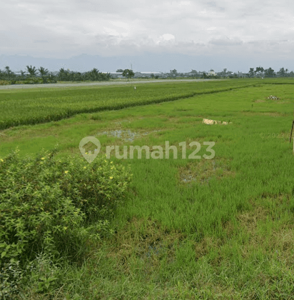 Dijual Tanah Luas Cocok Untuk Usaha Kuliner di Kota Malang 1