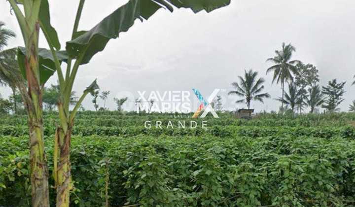 Dijual Tanah di Pakis, Kota Malang