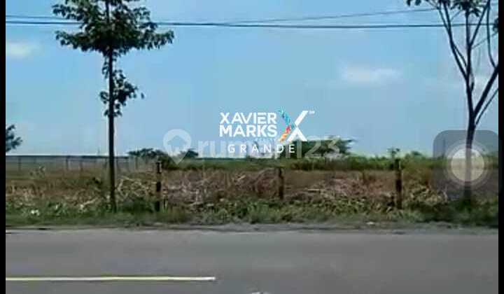 Dijual Tanah Masuk Zona Iii Industri di Tuban Dijual Tanah Masuk Zona Iii Industri di Tuban