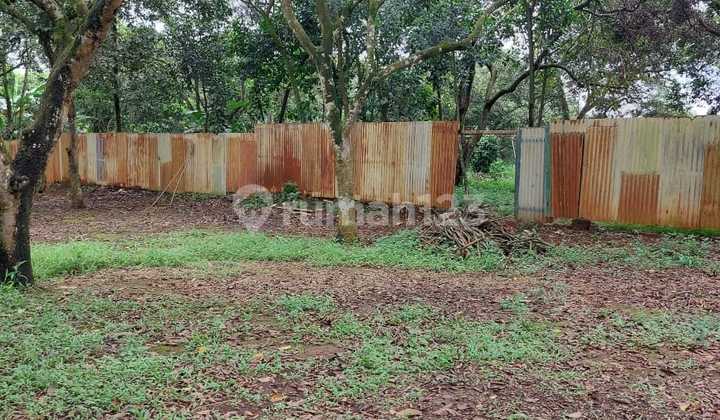 Axel Tanah Super Strategis Pinggir Jalan Besar Luas 8000m2 1