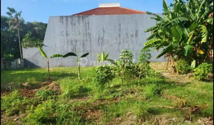 Axel Termurah Se Green Garden Tanah Green Garden 1000m2 1