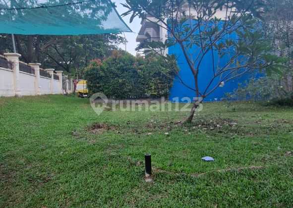 Cheapest on the Planet! BGM PIK Plot 15x17 hook Cheapest on the Planet! BGM PIK Plot 15x17 hook