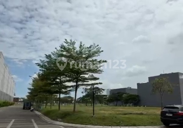 Cheapest on the Planet! Corner Lot Manhattan Residences 503m2 lucky