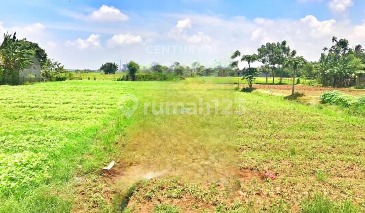 Tanah Luas Pinggir Jalan Dekat Pasar Di Babelan S8296