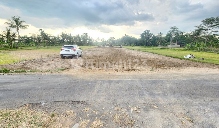 Tanah dijual di Pandanaran Kaliurang, Lokasi Strategis dan Asri Tanah dijual di Pandanaran Kaliurang, Lokasi Strategis dan Asri