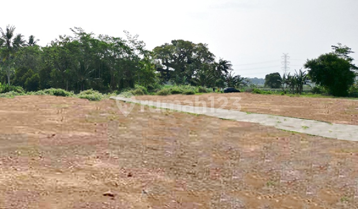 Near YIA Airport House for Sale Jogja Jl. Daendels Kulon Progo 2