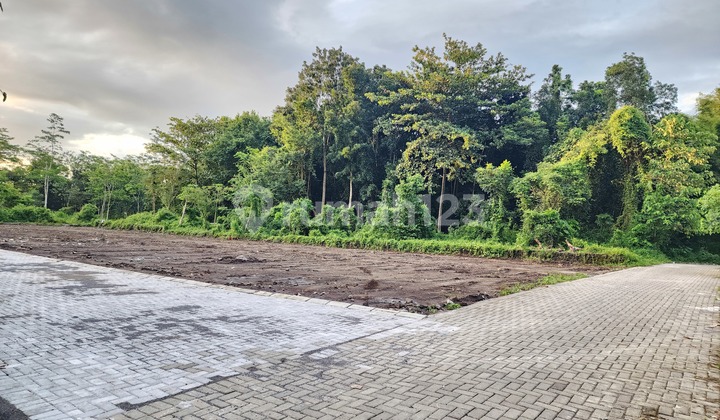 Dekat Kampus UII SHM Tanah Dijual Jogja Dekat Kampus UII SHM Tanah Dijual Jogja