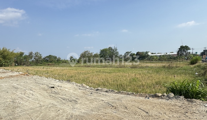 Jual Tanah Jogja SHM Untuk Villa Dekat Kuliner Jual Tanah Jogja SHM Untuk Villa Dekat Kuliner