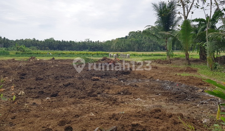 Jl. Nasional Kulon Progo Rumah Jogja SHM Pekarangan Dekat YIA 2