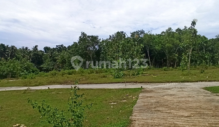 Near YIA Airport, Cheap Jogja Houses Close to Public Facilities 2