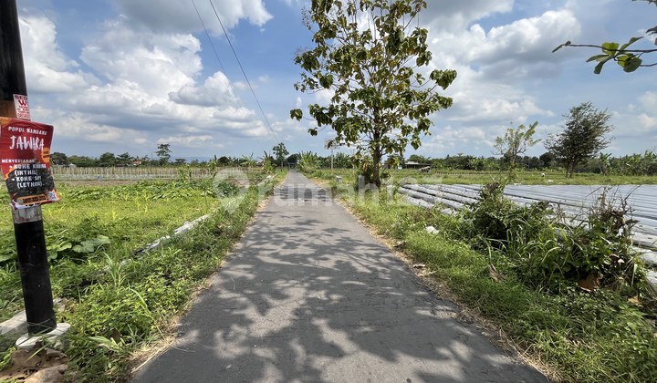 Ngaglik Sleman Jual Tanah Jogja Dekat Kampus UII Ngaglik Sleman Jual Tanah Jogja Dekat Kampus UII