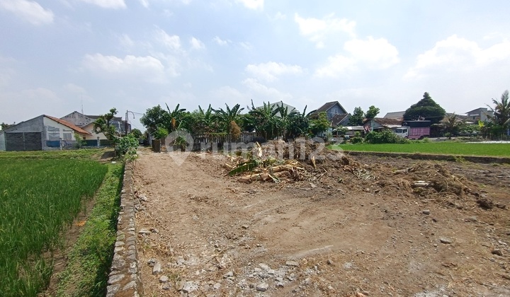Dijual Rumah Nogotirto Sleman Free Kolam Renang Dekat JCM