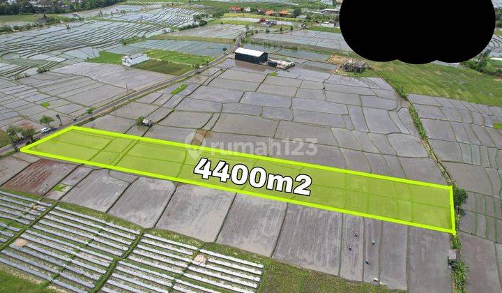 Land for Sale in Lima Perenan Beach Bali 2