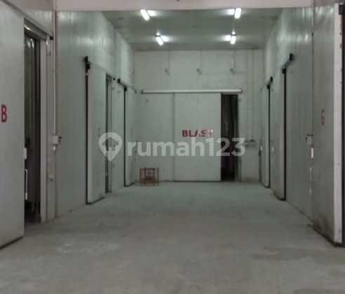FOR SALE COLD STORAGE WAREHOUSE ON RAYA KLAMPOL BREBES WANSARI CENTRAL JAVA
