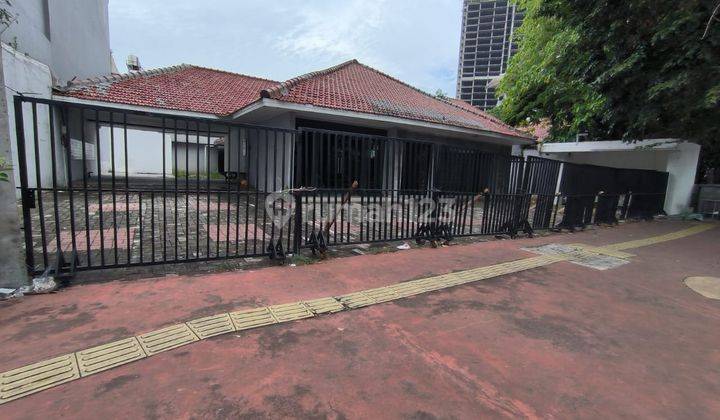 Sewa Rumah 1 Lantai, Halaman Luas Di Cempaka Putih 1