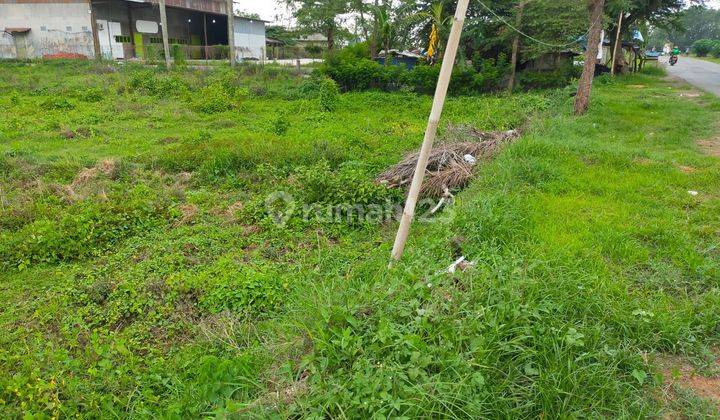 Kavling Murah Siap Bangun dan Cocok Untuk Perumahan @Indramyu 2