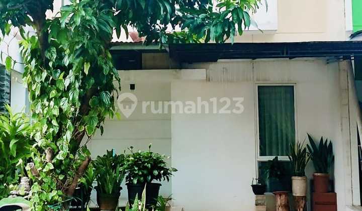 Rumah MURAH Nempel Bintaro - Urbana Ciputat Rumah MURAH Nempel Bintaro - Urbana Ciputat