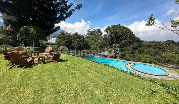 Villa Cantik Asri dengan Hunian Nyaman Halaman Luas ada kolam berenang 2