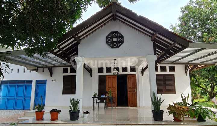 Rumah Bagus dengan Luas 2250 m2 dan Bangunan 700 m2 di Tegal, Jateng