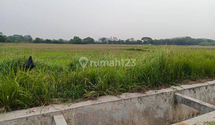 Dijual Lahan Luas 2 Ha di Ds. Keserangan Ciruas Serang Banten 1