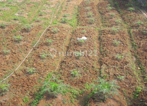 Termurah kavling tepi jalan raya‼️ permeter hanya 1jt, Sisi Belakang Nempel dengan Wisata Situ Pasir Maung 1