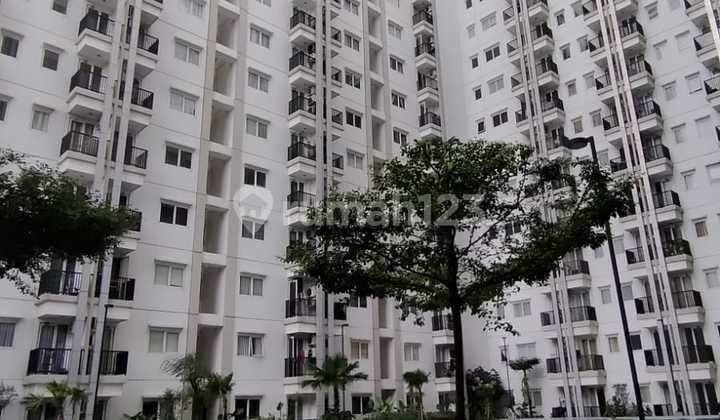 Lantai Rendah, View Kolam Renang, Dekat Dengan Transportasi Publik, Hunian Sudah Ramai 2