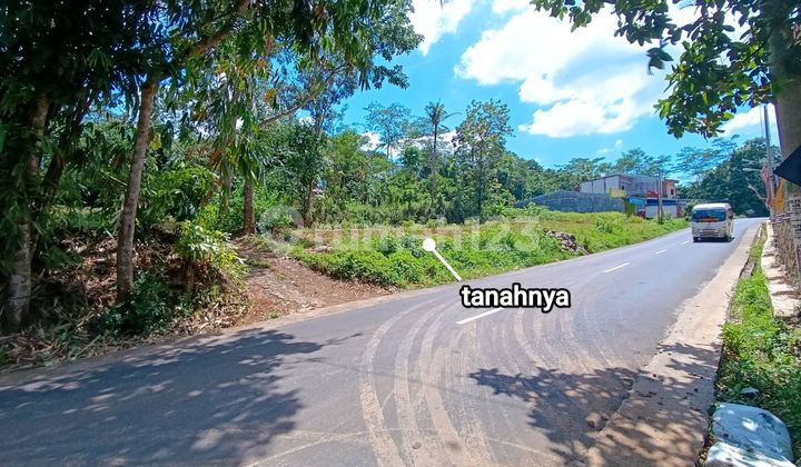Tanah Murah Nempel Jalan Raya Gunung Pati