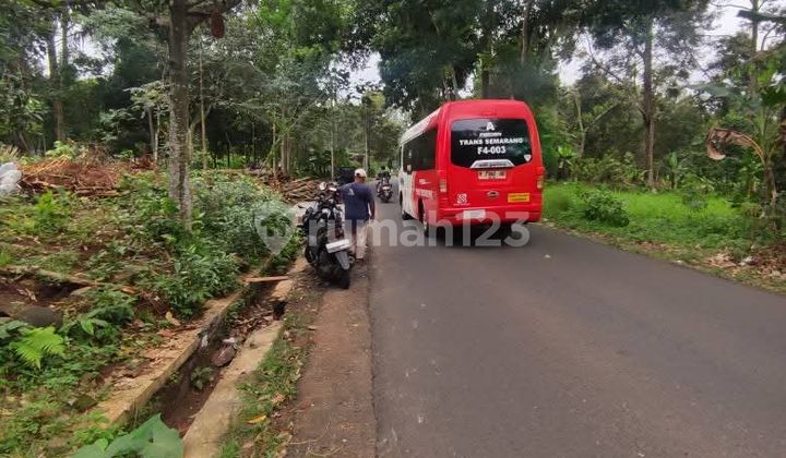 Tanah Murah Semarang 1