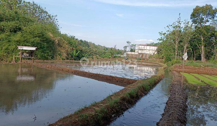 TANAH TERMURAH ADA MATA AIRNYA DI PPDOREJO SEMARANG 2