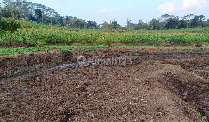 TANAH TERMURAH ADA MATA AIRNYA DI PPDOREJO SEMARANG 1