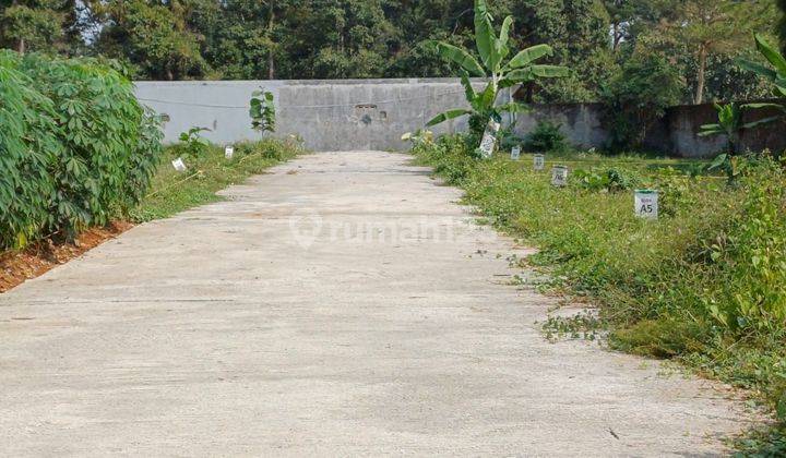 TANAH MURAH DEKAT UNWAHAS DAN RSUD CEPOKO GINUNG PATI 2