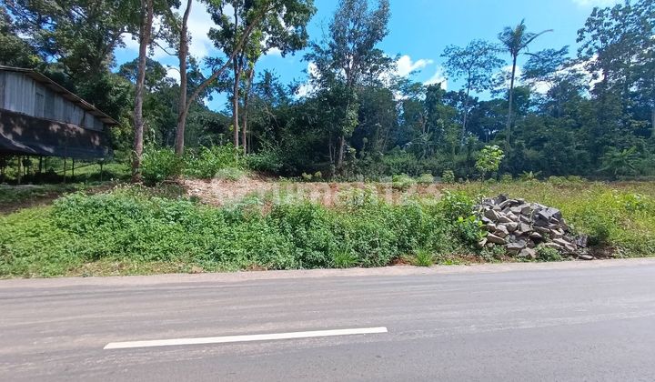 Tanah Murah Nempel Jalan Raya Gunung Pati 2