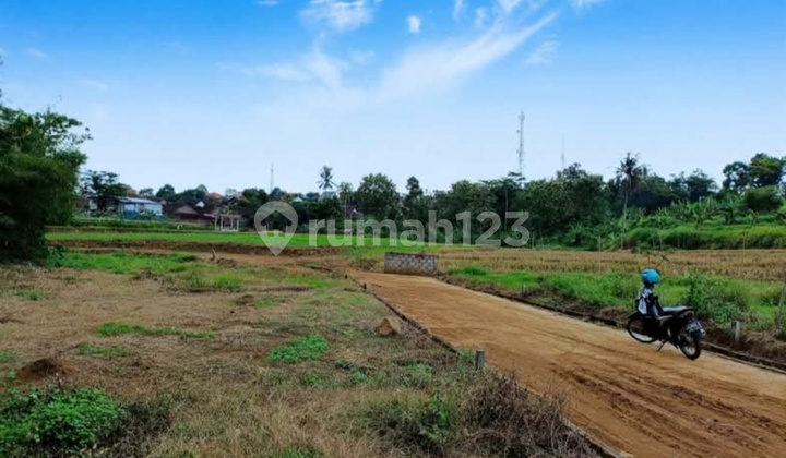 Tanah View Saqah Dekat Ungaran 2