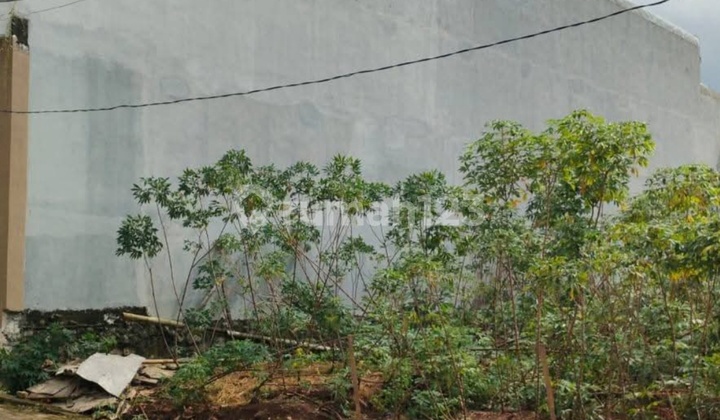 Tanah Ring Satu Cocok untuk Rumah Kost Dekat Kampus Unnes Gunung Pati Semarang Tanah Ring Satu Cocok untuk Rumah Kost Dekat Kampus Unnes Gunung Pati Semarang