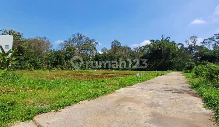 Tanah Murah Dekat Wisata Buah Cepoko Gunung Pati 2