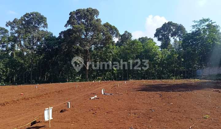Tanah Murah Dekat Kampus Unwahas Gunung Pati Semarang 2