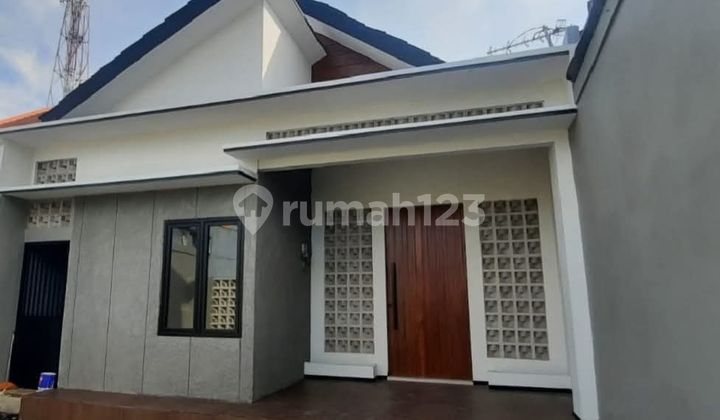 Rumaj Ready Kuat Kokok di Manyaran Semarang 2