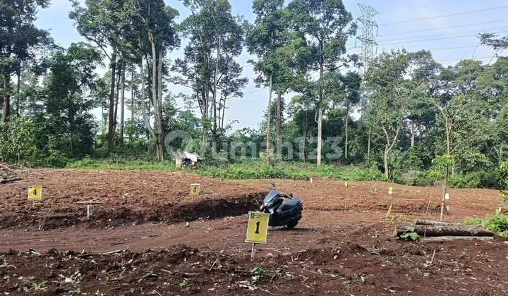 Land DP 50 Million Free Fees in Gunung Pati Semarang 2