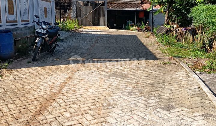 Affordable Land Near Unika BSB Campus, Mijen, Semarang 1