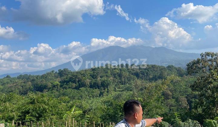 Tanah Dp 70 Juta View Pegunungan Di Gunung Pati 2