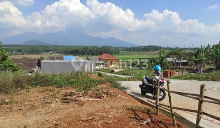 Tanah View Sawah Dekat Bsb Mijen Semarang 2