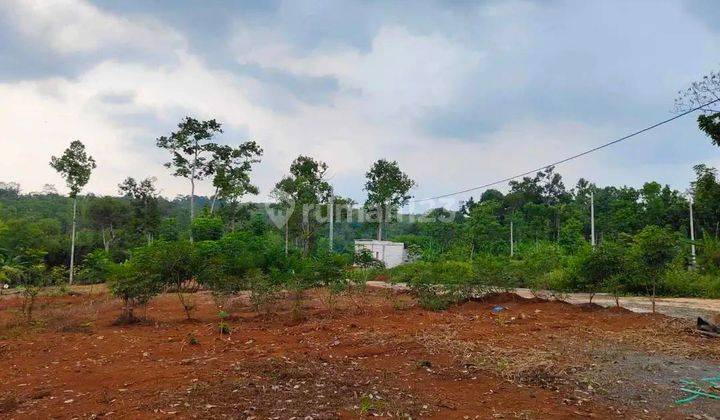 Tanah Murah bisa KPR Dp 50 Juta Dekat Ngrenbel Gunung Pati 2