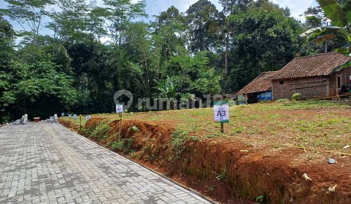 Tanah Murah Dekat Kampus Unwahas Gunung Pati
