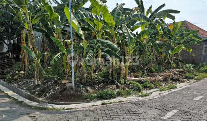 Cheap Land Near Graha Padma Semarang 2
