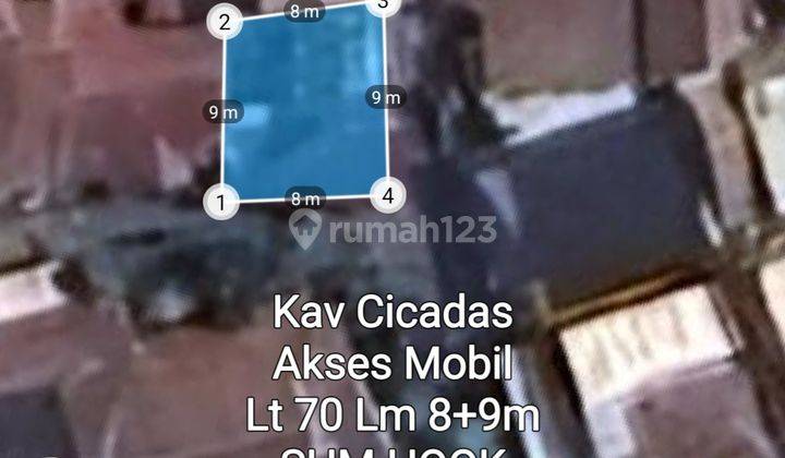 Kav Cicadas 1